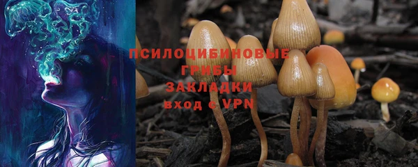 дурь Волосово