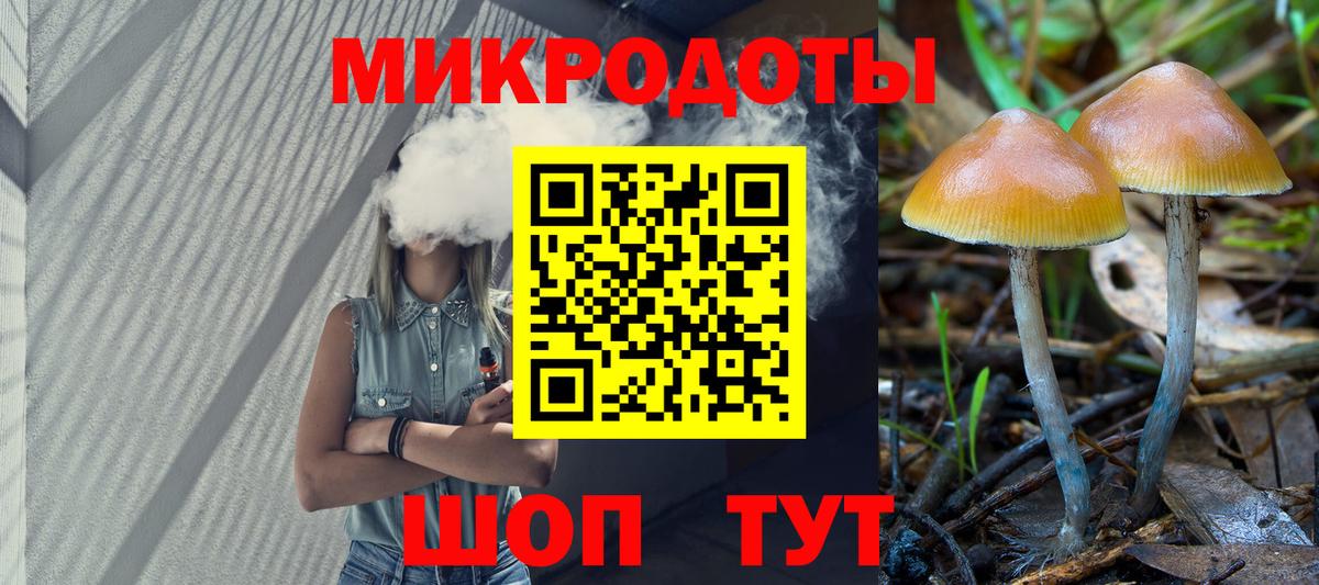 Псилоцибиновые грибы мухоморы  купить  цена  Медногорск  Вход с VPN 