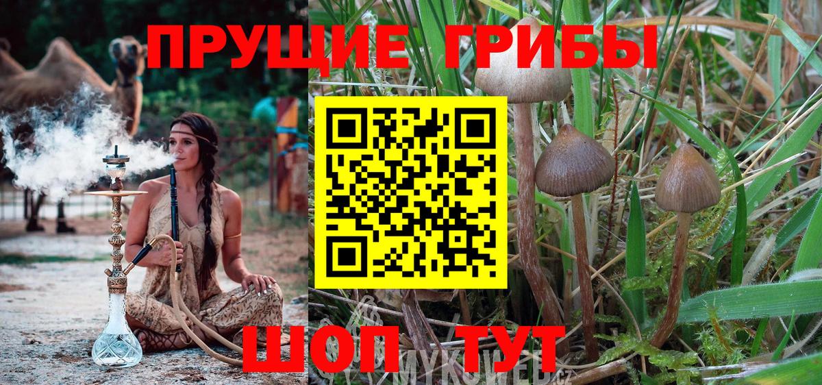 Галлюциногенные грибы ЛСД Медногорск